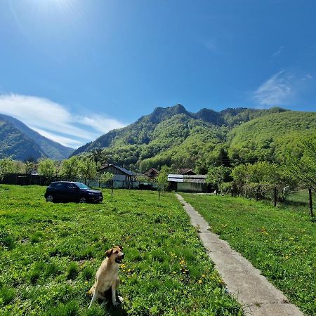 Green Nest Brezoi Exterior foto